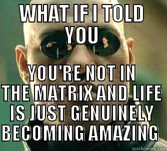 WHAT IF I TOLD YOU YOU'RE NOT IN THE MATRIX AND LIFE IS JUST GENUINELY BECOMING AMAZING  Matrix Morpheus