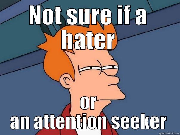 NOT SURE IF A HATER OR AN ATTENTION SEEKER Futurama Fry