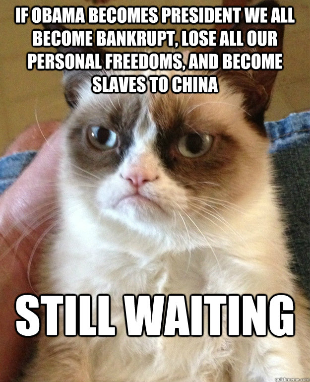 If Obama becomes President we all become bankrupt, lose all our personal freedoms, and become slaves to China STILL WAITING  grumpycat