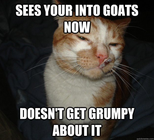 Sees your into goats now doesn't get grumpy about it  Good Guy Cat