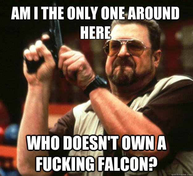 Am I the only one around here who doesn't own a fucking falcon?  Walter