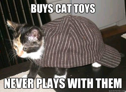 Buys Cat Toys Never plays with them  