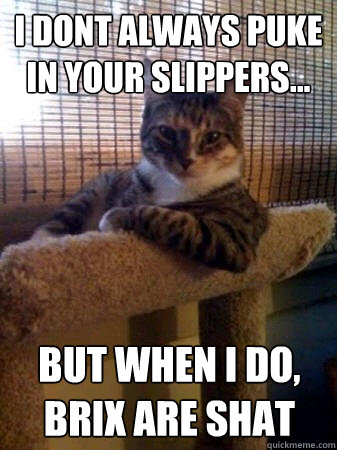 I dont always puke in your slippers... but when I do, brix are shat  The Most Interesting Cat in the World