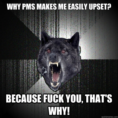 why pms makes me easily upset? because fuck you, that's why!  Insanity Wolf