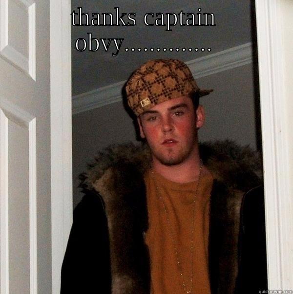 THANKS CAPTAIN OBVY..............  Scumbag Steve