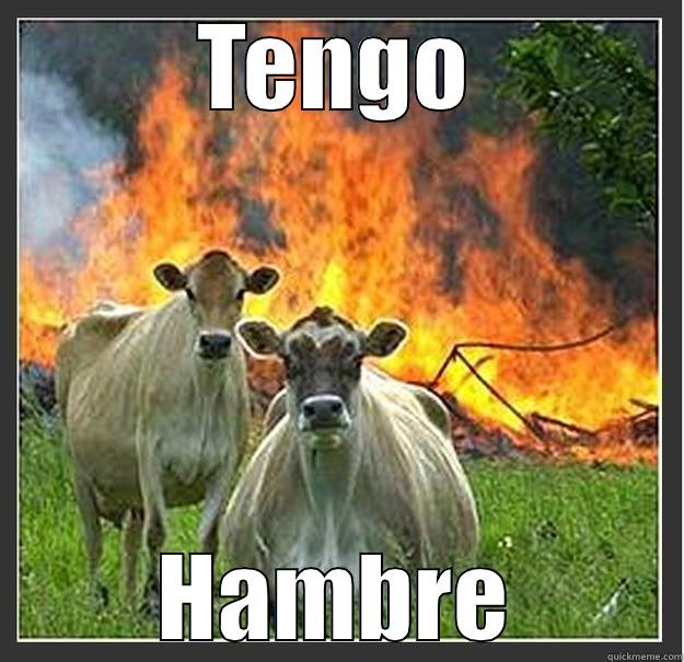 TENGO HAMBRE Evil cows