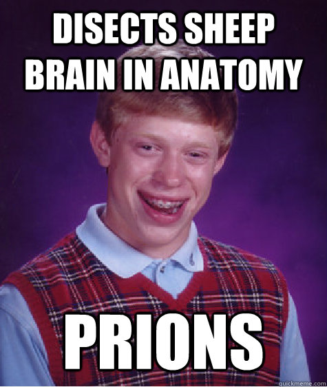 Disects sheep brain in Anatomy Prions  Bad Luck Brian
