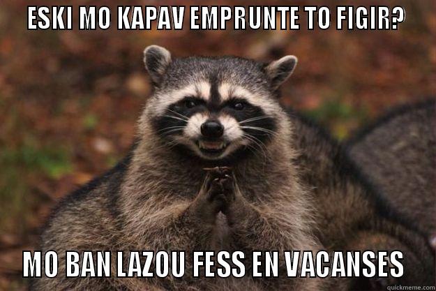 lazou fess -  ESKI MO KAPAV EMPRUNTE TO FIGIR?  MO BAN LAZOU FESS EN VACANSES  Evil Plotting Raccoon
