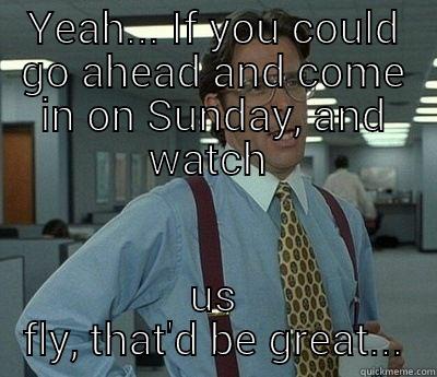 YEAH... IF YOU COULD GO AHEAD AND COME IN ON SUNDAY, AND WATCH  US FLY, THAT'D BE GREAT... Bill Lumbergh