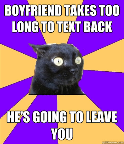 boyfriend takes too long to text back he's going to leave you  Anxiety Cat