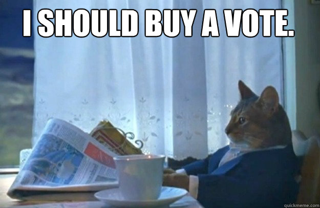 i should buy a vote.  Sophisticated Cat