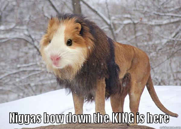  NIGGAS BOW DOWN THE KING IS HERE Misc