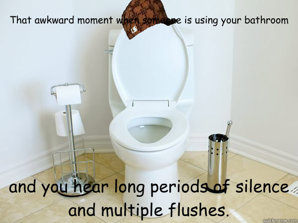 That awkward moment when someone is using your bathroom  and you hear long periods of silence and multiple flushes. - That awkward moment when someone is using your bathroom  and you hear long periods of silence and multiple flushes.  Scumbag Toilet