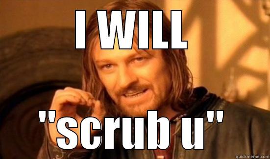 I WILL 