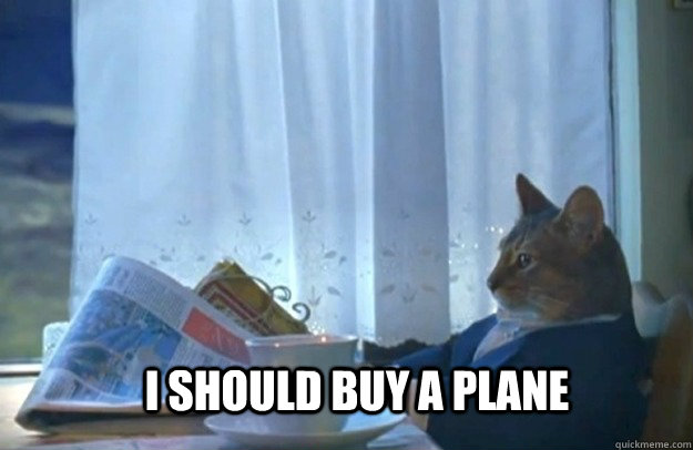 I should buy a plane  Sophisticated Cat