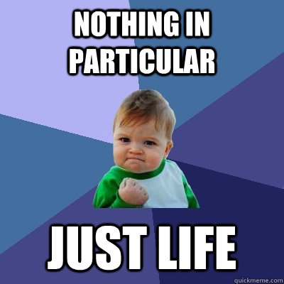 Nothing in particular Just life  Success Kid