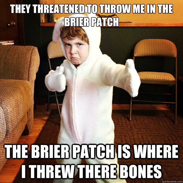 They threatened to throw me in the Brier Patch The Brier Patch is where I threw there Bones - They threatened to throw me in the Brier Patch The Brier Patch is where I threw there Bones  Karate Bunny