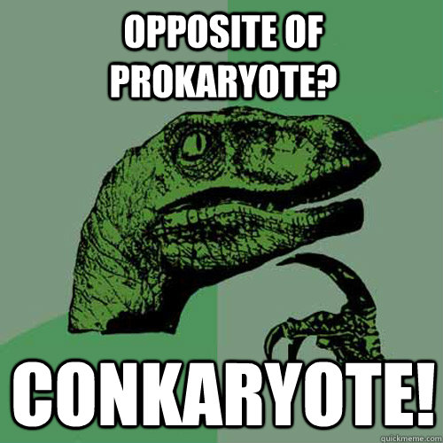Opposite of prokaryote? Conkaryote!  Philosoraptor