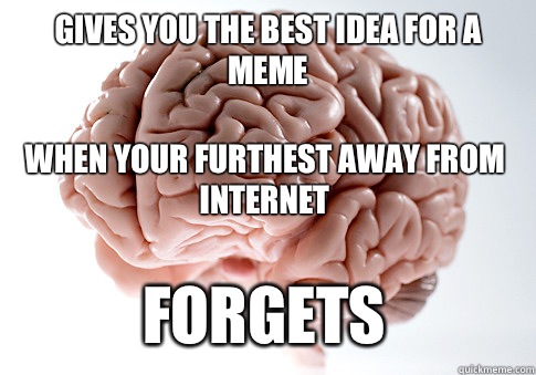Gives you the best idea for a meme When your furthest away from Internet  Forgets   Scumbag Brain