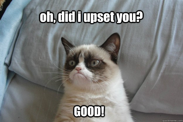 oh, did i upset you? GOOD!  tard grumpy cat