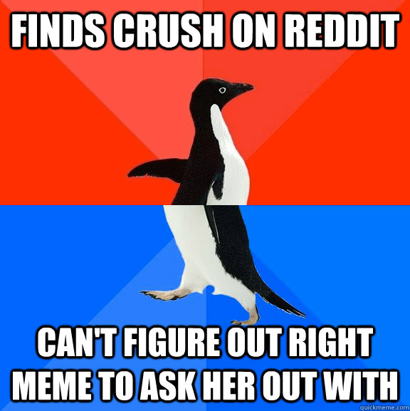 Finds crush on Reddit Can't figure out right meme to ask her out with  Socially Awesome Awkward Penguin