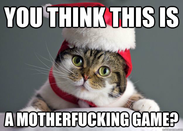 You think this is a motherfucking game?  Christmas Cat