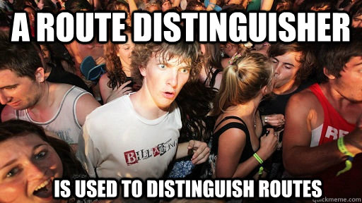 A Route Distinguisher   is used to distinguish routes  Sudden Clarity Clarence