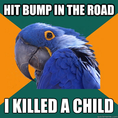 hit bump in the road I KILLED A CHILD  Paranoid Parrot