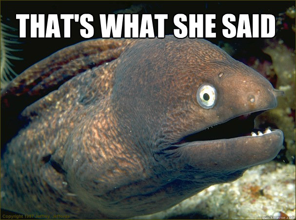 That's what she said  - That's what she said   Bad Joke Eel