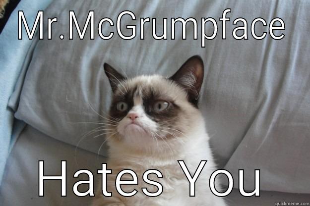 MR.MCGRUMPFACE HATES YOU Grumpy Cat