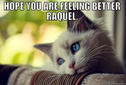 HOPE YOU ARE FEELING BETTER RAQUEL.  First World Problems Cat