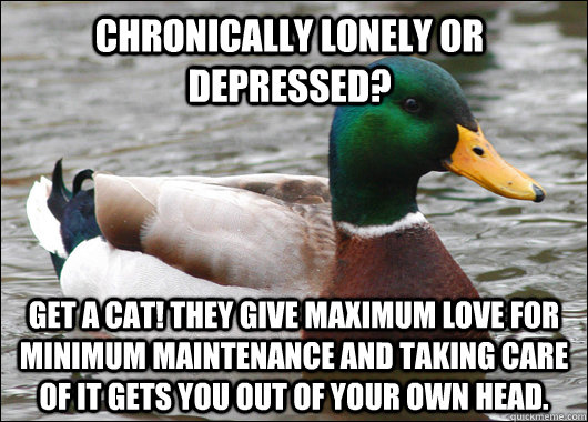 Chronically Lonely or Depressed?  Get a cat! They give maximum love for minimum maintenance And taking care of it gets you out of your own head.    Actual Advice Mallard