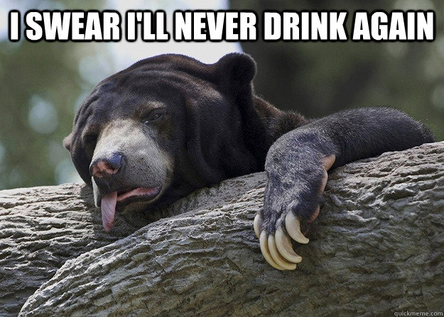 I swear I'll never drink again  - I swear I'll never drink again   Drunk Confession Bear