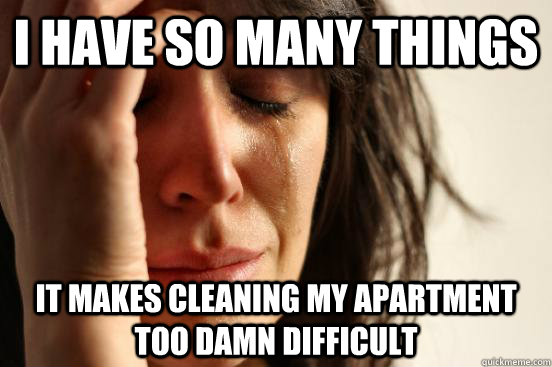 i have so many things it makes cleaning my apartment too damn difficult  First World Problems