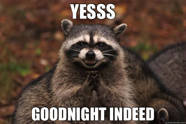 YESSS GOODNIGHT INDEED  Evil Plotting Raccoon
