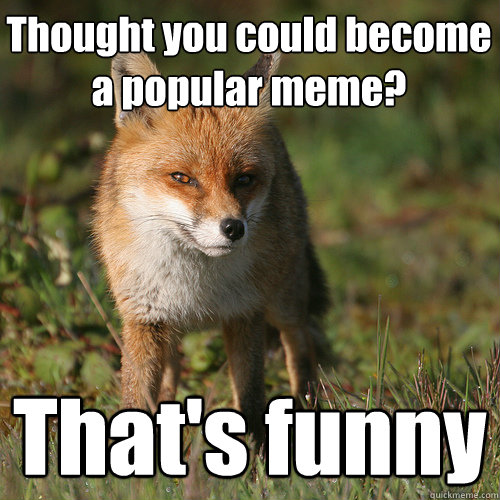 Thought you could become a popular meme? That's funny  Smug Fox
