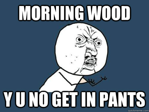 morning wood y u no get in pants  Y U No