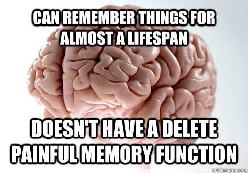 Can remember things for almost a lifespan doesn't have a delete painful memory function  Get the [AdviceAnimals Chrome extension!](http://www.livememe.com/extension)  Scumbag Brain