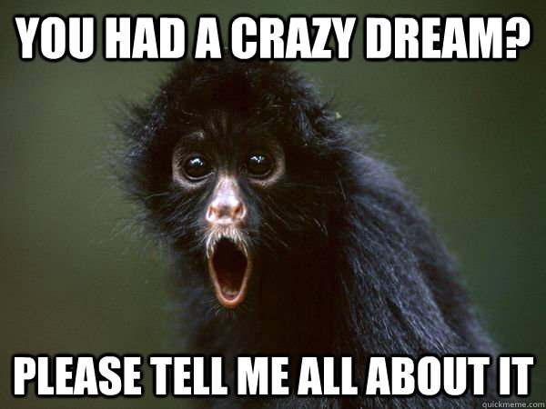 You had a crazy dream? Please tell me all about it  Sarcastic Spider Monkey