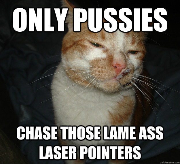 Only pussies chase those lame ass laser pointers  Cool Cat Craig