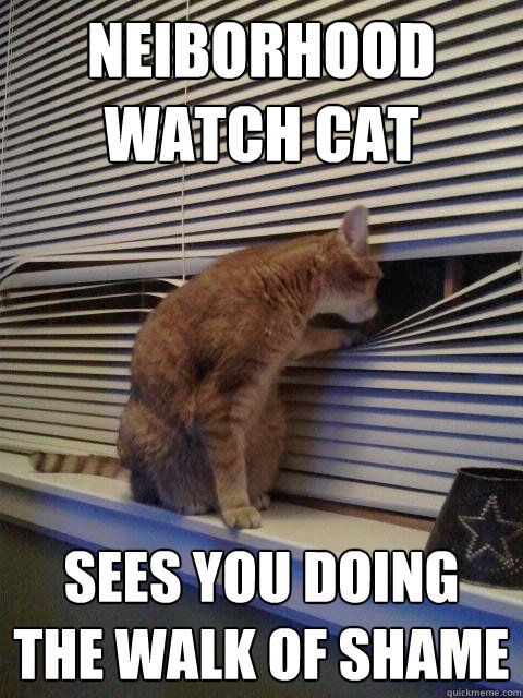neiborhood watch cat sees you doing the walk of shame  Peeping Tomcat