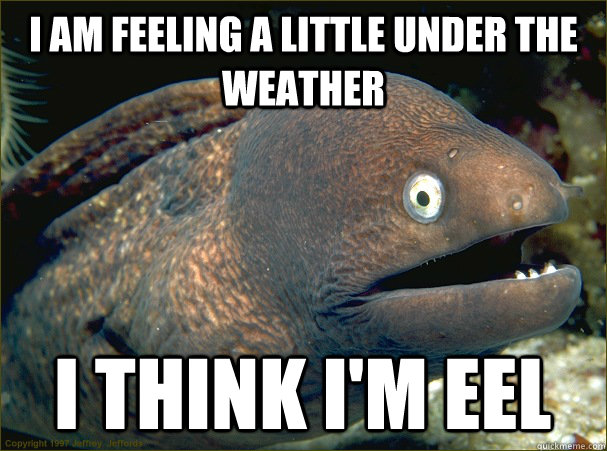 i am feeling a little under the weather i think i'm eel - i am feelin....