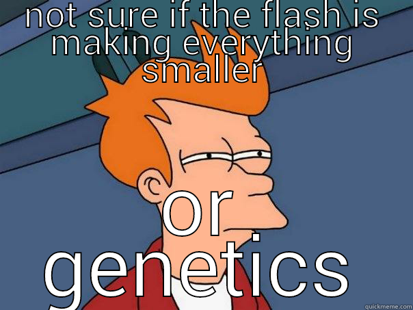 NOT SURE IF THE FLASH IS MAKING EVERYTHING SMALLER OR GENETICS Futurama Fry