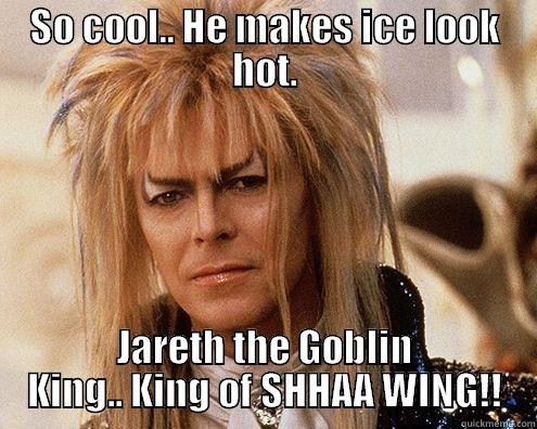 SO COOL.. HE MAKES ICE LOOK HOT. JARETH THE GOBLIN KING.. KING OF SHHAA WING!! Misc