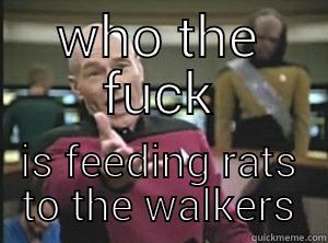 WHO THE FUCK IS FEEDING RATS TO THE WALKERS Annoyed Picard