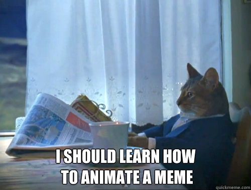  I should learn how
 to animate a meme -  I should learn how
 to animate a meme  The One Percent Cat