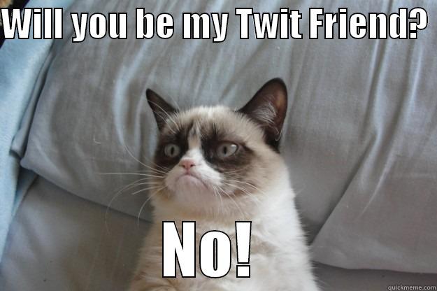 Twit Friend - WILL YOU BE MY TWIT FRIEND?  NO!  Grumpy Cat