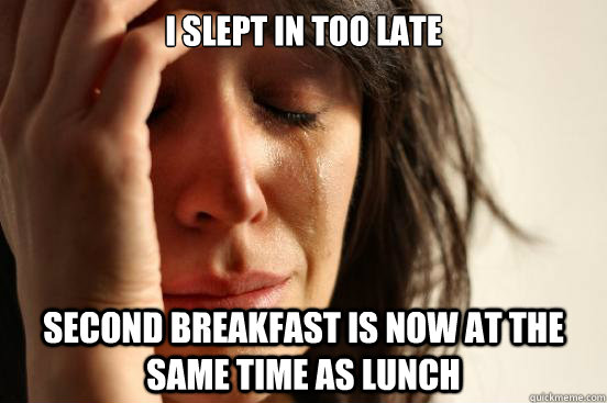 I slept in too late Second breakfast is now at the same time as lunch  First World Problems