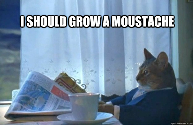 I should grow a moustache  Sophisticated Cat