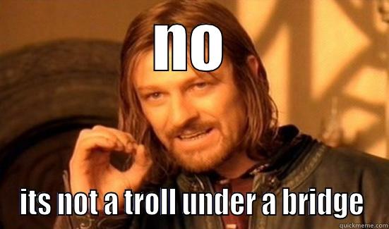 NO ITS NOT A TROLL UNDER A BRIDGE Boromir